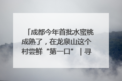 成都今年首批水蜜桃成熟了，在龙泉山这个村尝鲜“第一口”｜寻找和美乡村推荐官